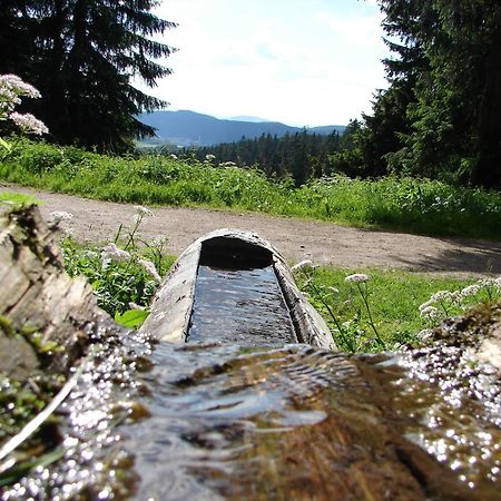 Ferienwohnung Rennsteigblick Suhl Esterno foto
